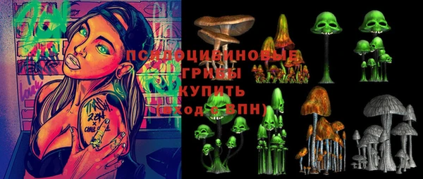 каннабис Гусиноозёрск