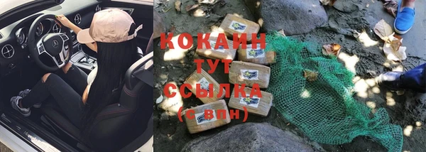 ГАЛЛЮЦИНОГЕННЫЕ ГРИБЫ Болотное