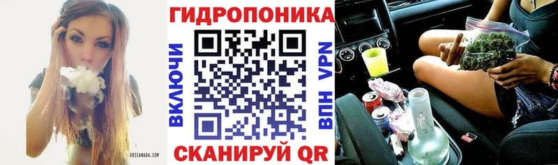 Марихуана сатива  как найти   Донской 